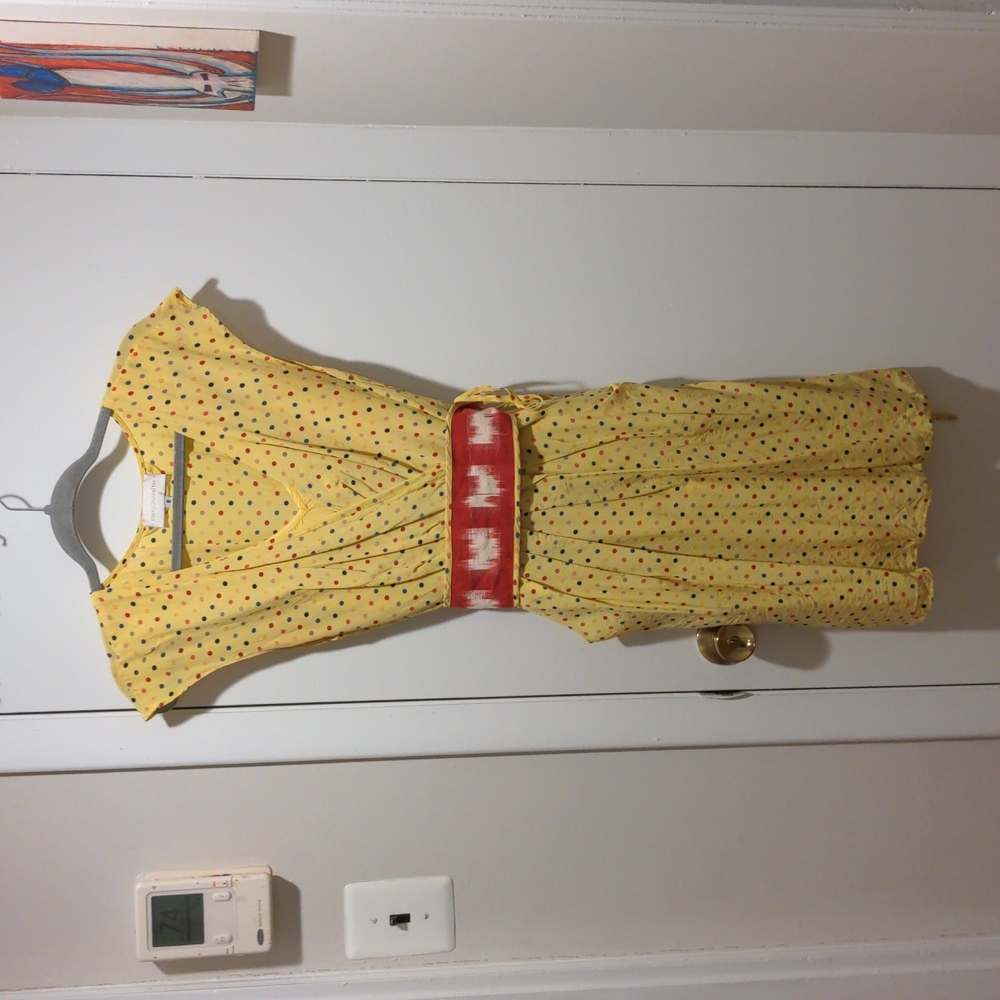 Corey Lnn Calter Polka Dot Dress!